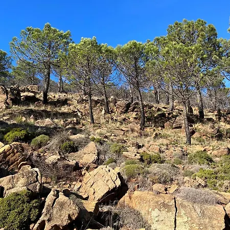 Bright Apartment, Community Pool And Own Private Pool On Splendid Terrace, Garage, 900m, Mountains 200m 埃斯特波纳