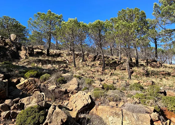 Bright Apartment, Community Pool And Own Private Pool On Splendid Terrace, Garage, 900m, Mountains 200m Estepona